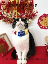 カラフルなボール付きペット用首輪【毛羽立ちのあるカートゥーンデザイン・犬猫用・新年・春節向け】
