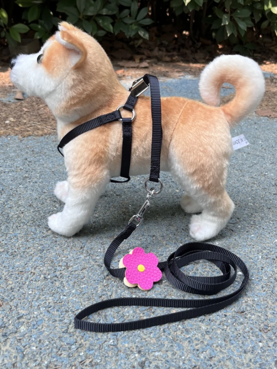犬のお散歩グッズをコスパ良く揃える方法｜完全ガイドと選び方の秘密