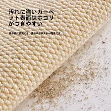 タマイズ可能な高級感あふれる玄関マット【耐汚染・リビング用・新タイプ】