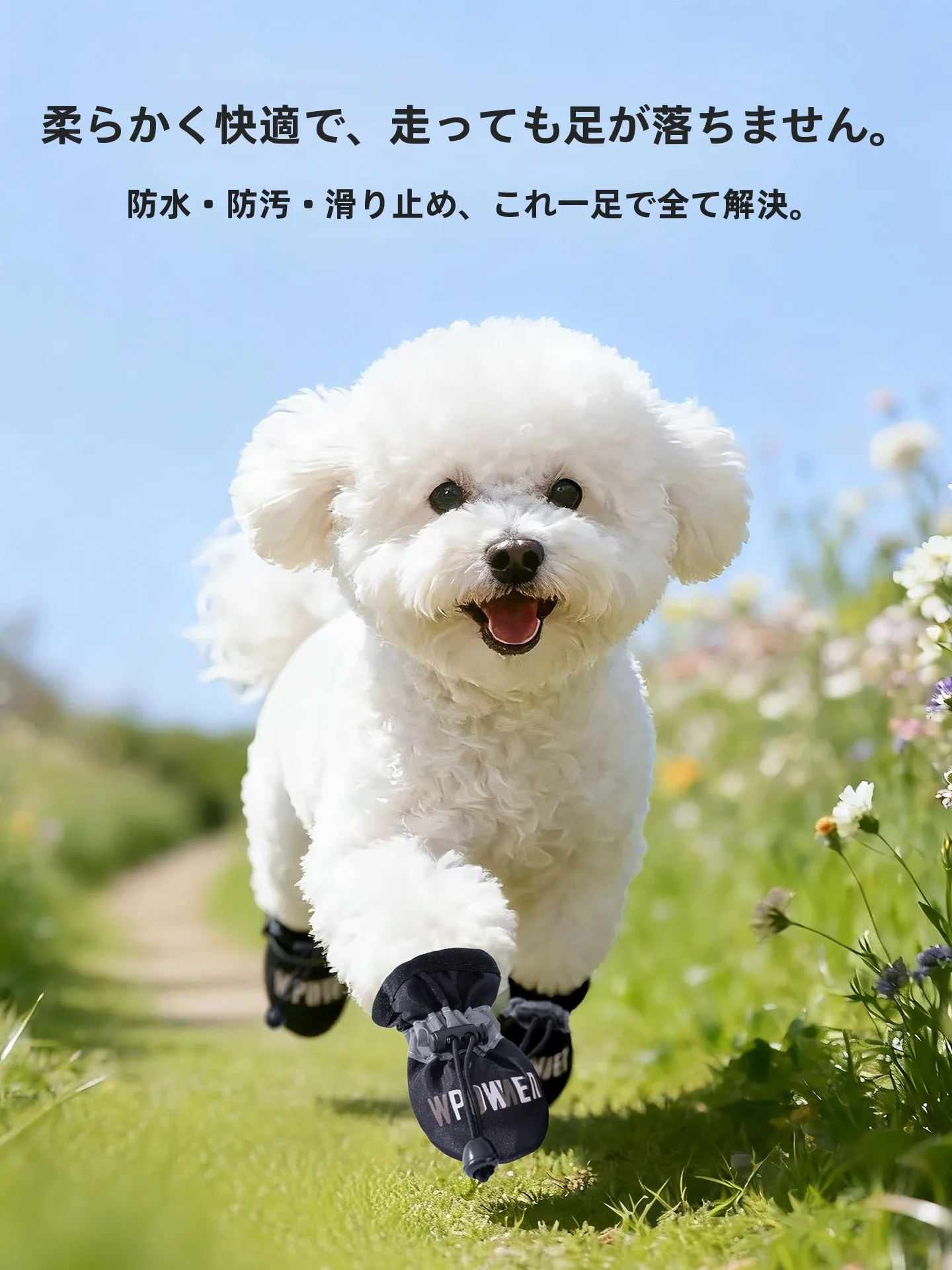 かわいいラボで作る、犬の日常を彩る小さな魔法とは？