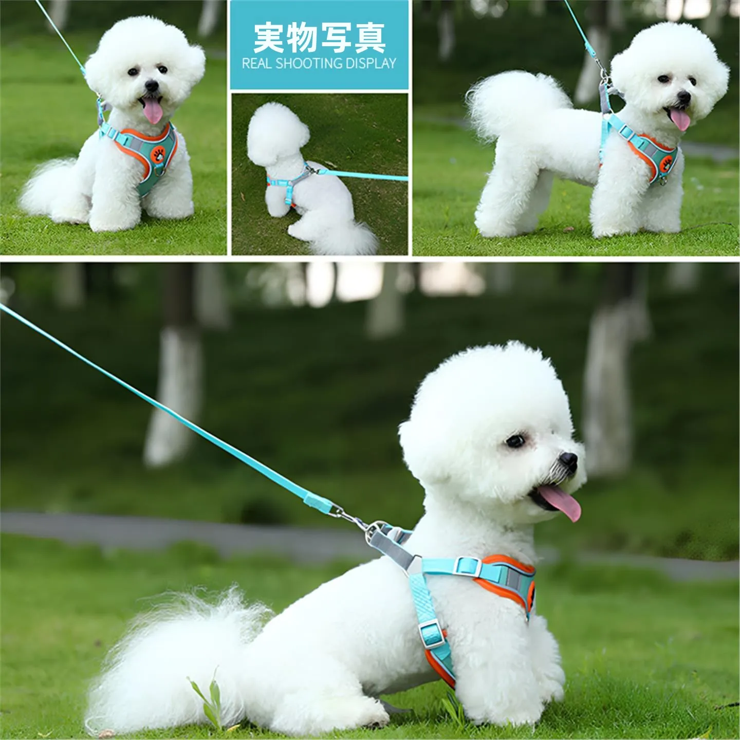 中型犬用ハーネスリード：ハーネスタイプの胸部サポート機能と通気性のバランス