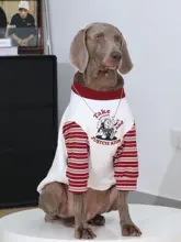 大型犬用 秋冬用セーター【ラブラドール・ゴールデン・ボーダーコリー・丸首・裏起毛】