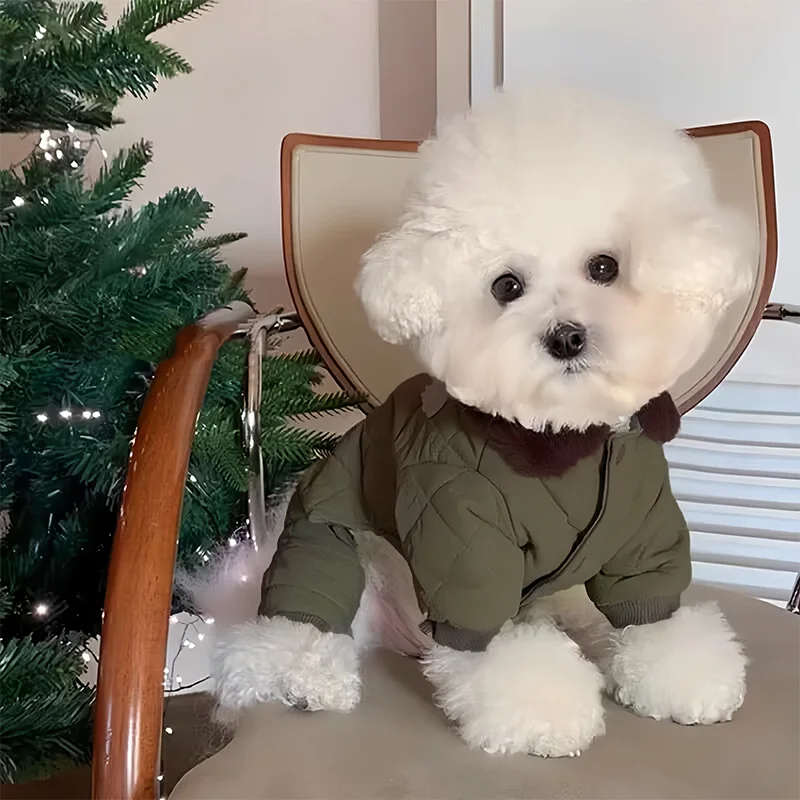 梅雨に備えて買うべき！犬用厚手コートの完全ガイド