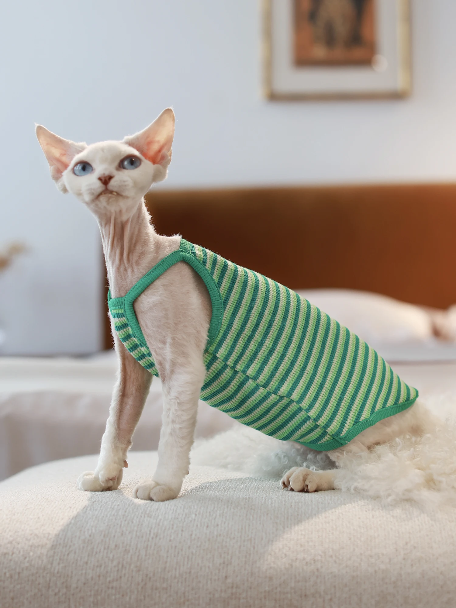 猫飼いが買ってよかったもの・悪かったもの正直に言う｜夏の涼しさを実感する吊りストラップの徹底解説