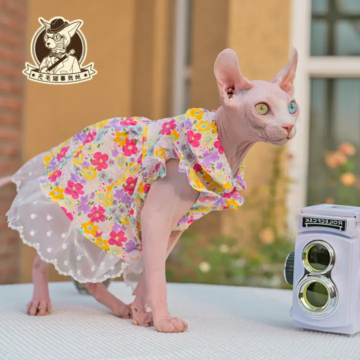 無毛猫用 コットンレースワンピース【ペットウェア・可愛いデザイン】（セットアップ対応）