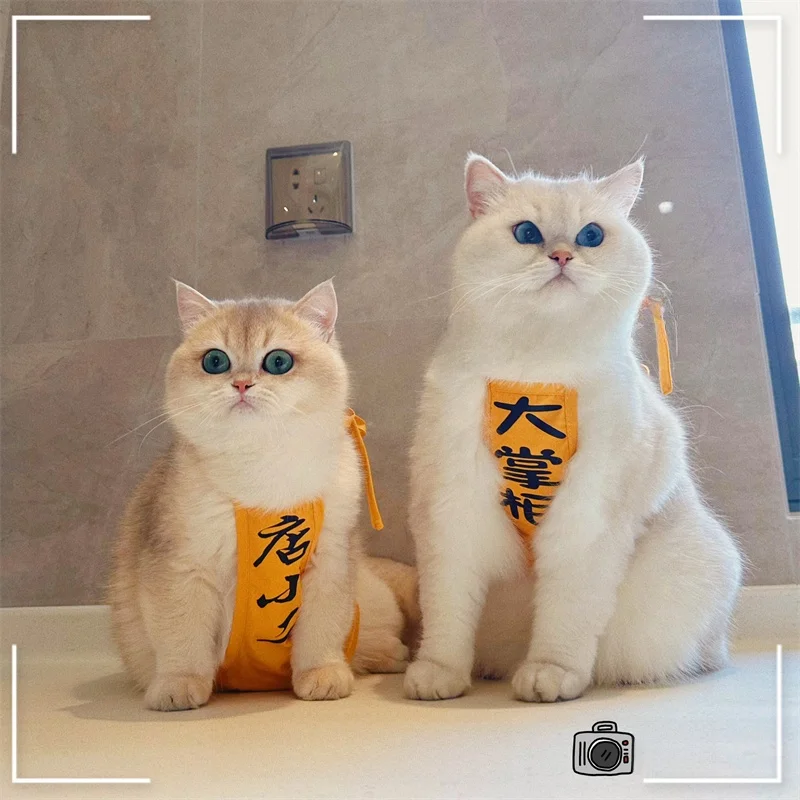おおかみかくしとペットエプロン、どちらが心を癒すのか？