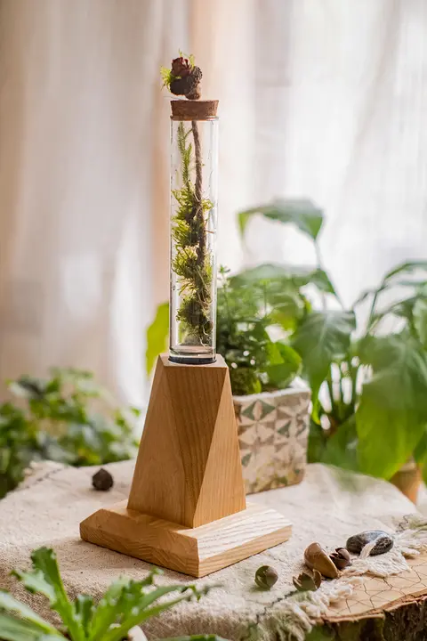 無垢材 ガラス トロフィー 試験管 花瓶 花挿し 創造的 デスク 高級 ドライフラワー 水耕 植物 花器 装飾品