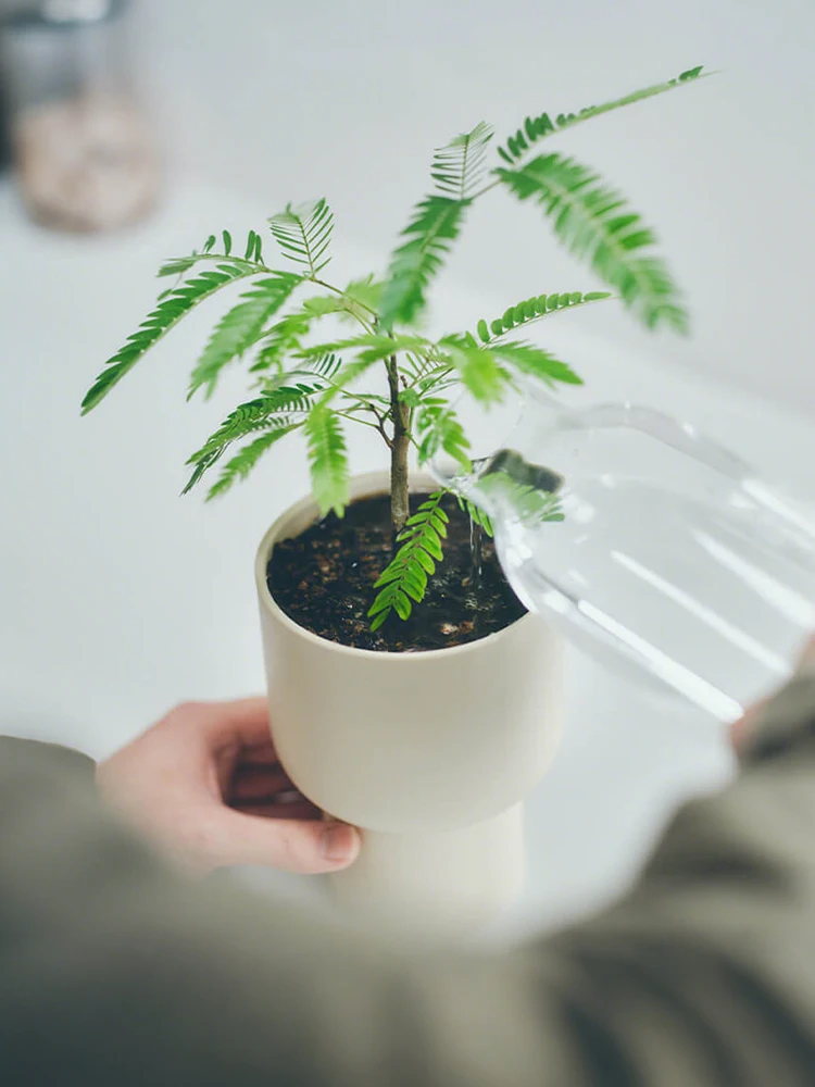 高級感あふれるインテリア用フラワーポット：ほったらかしで毎年咲く花を育てるための最適なプランター