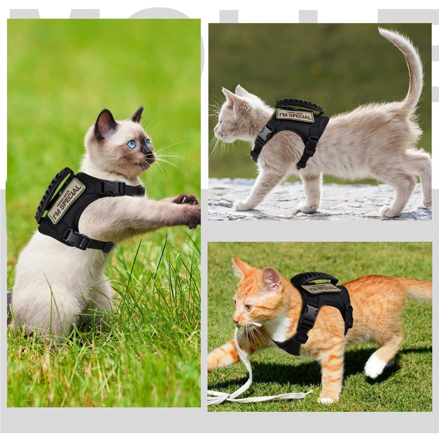 猫飼いが買ってよかったもの・悪かったもの正直に言う｜散歩用ハーネスの実測ガイド