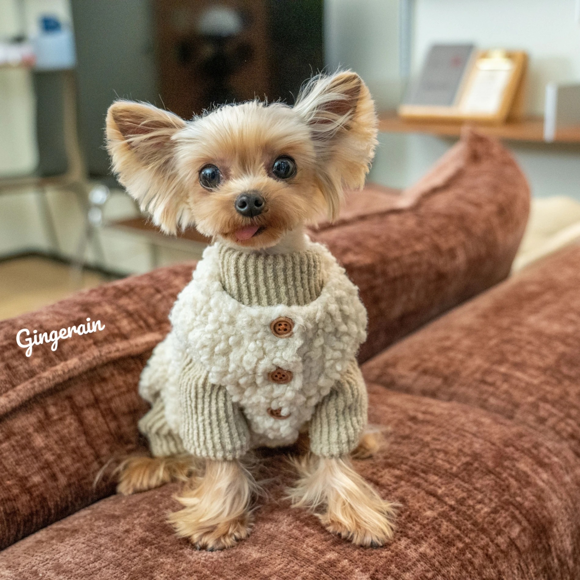 インテリアグッズ比較レビュー｜犬用保温ベストの選び方とサイズガイド