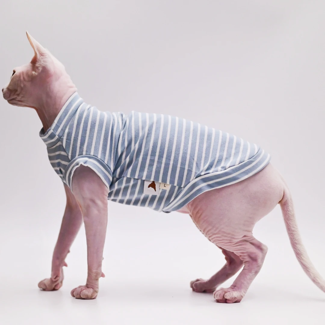 猫飼いが買ってよかったもの・悪かったもの正直に言う｜スフィンクス猫の服選び完全ガイド