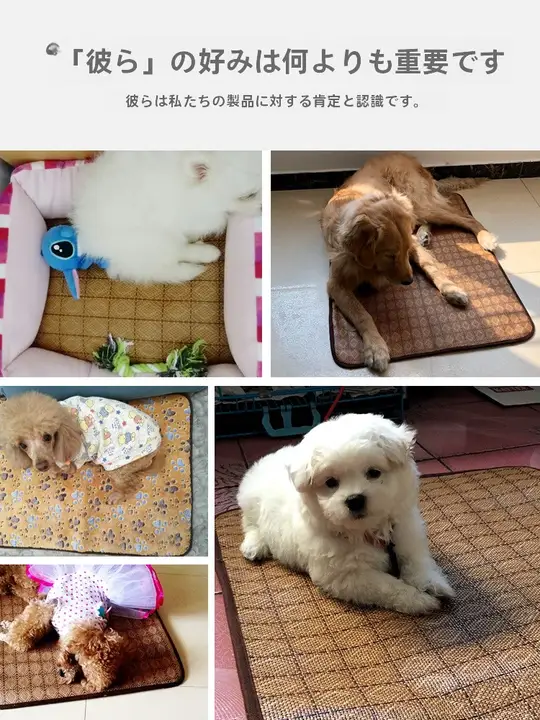 犬用 ふっくら快適マット【リバーシブル・涼感・ペット用】