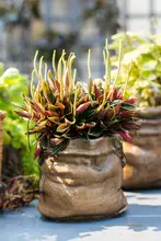 鉢 花かご 花器 多肉植物 用途 水泥 麻布 レトロ 陶器 北欧