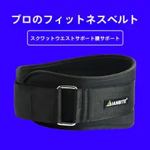 トレーニング用腰ベルト【男女兼用・強化サポート・ハードトレーニング対応】