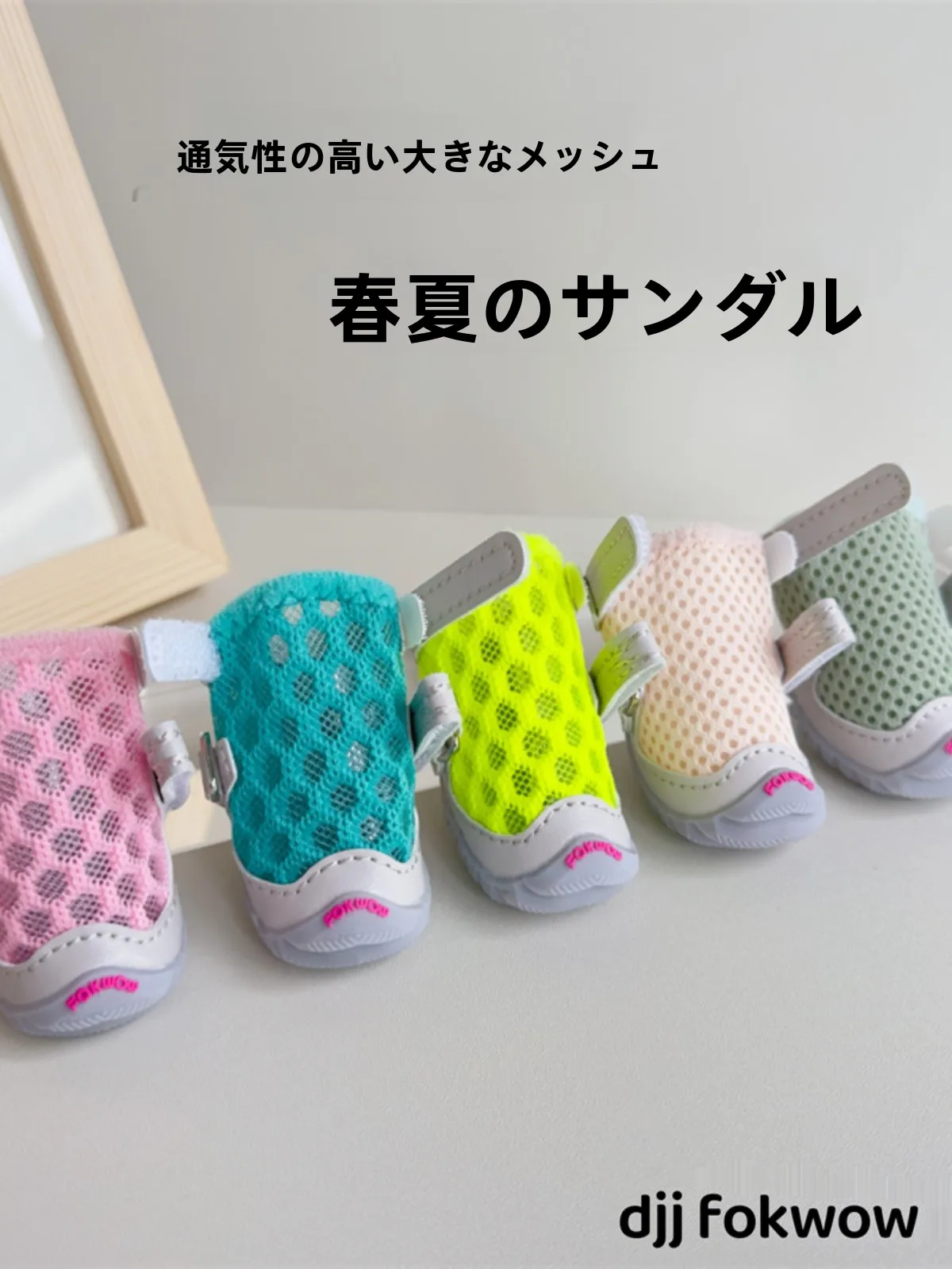 犬のお散歩グッズをコスパ良く揃える方法｜fokwowシューズの季節対応とインソールの選び方