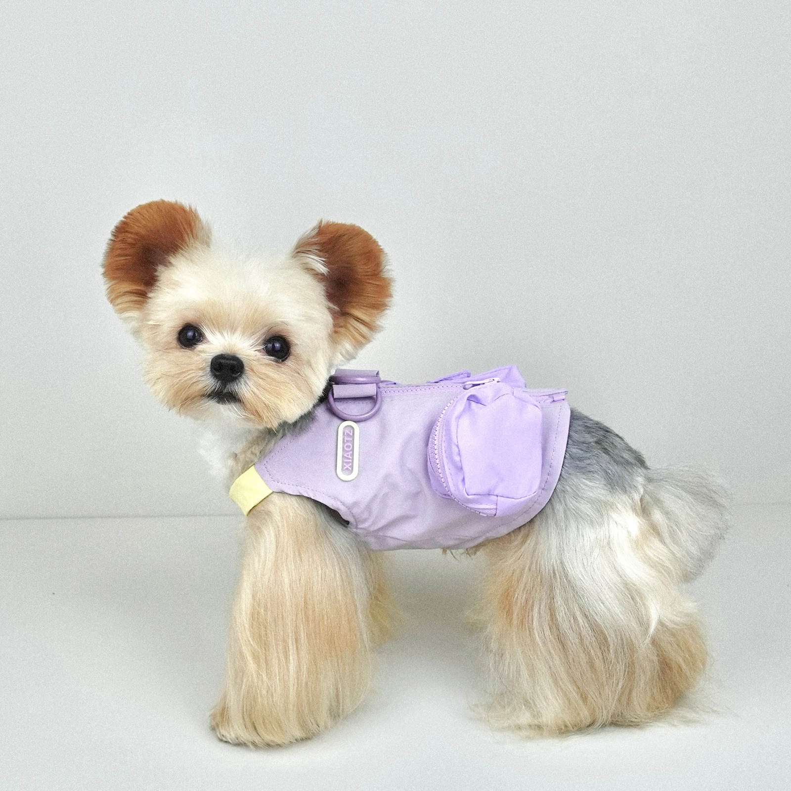 犬のお散歩グッズをコスパ良く揃える方法　徹底解説・選び方のポイント