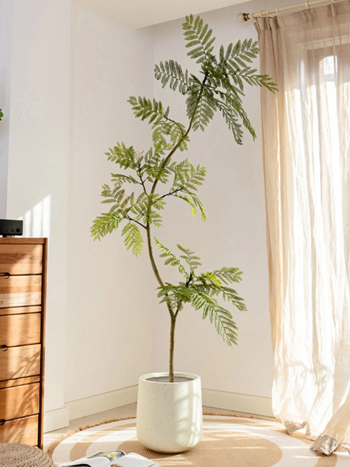 ガラス鉢に観葉植物を置くのは、本当に必要なのか？