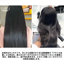 油性頭皮用シャンプー【金カナリヤ抽出成分配合・脱毛防止・クリーニング効果】