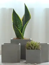 北欧風 シンプル 水泥製ミニ花盆【トレイ付き・個性的なデザイン】