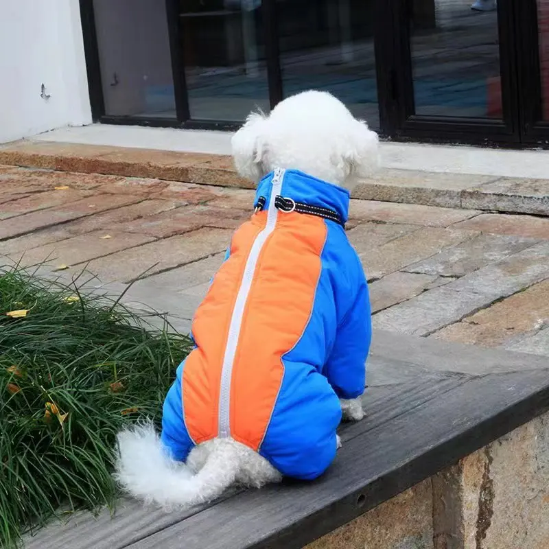 犬のお散歩グッズをコスパ良く揃える方法 - 夜光・反射材・360°絡み防止の仕組み