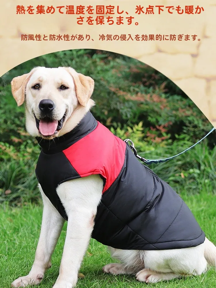 犬のレインコートおすすめは？厳選5選で雨の日も快適に散歩できる選び方