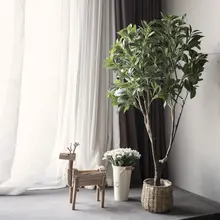 フェイツリー 大型植物 室内 家具 グリーン デコレーション