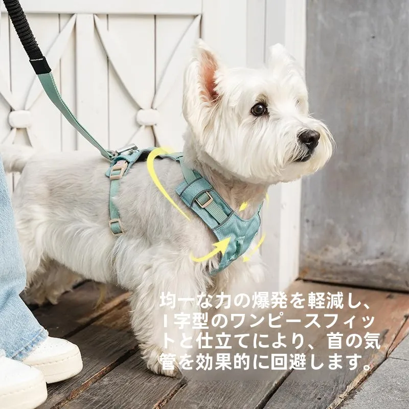 犬のお散歩グッズをコスパ良く揃える方法｜調整可能なハーネスの実測ガイド