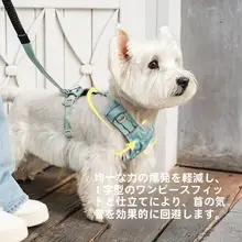 軽量・調整可能な犬用ハーネス【中小型犬用・工字型・引き紐付き】