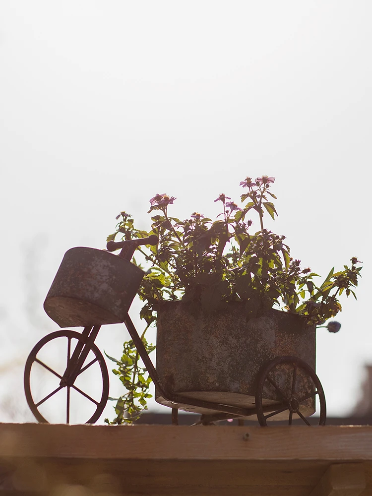 アイアン製自転車型花瓶：レトロスタイルでバルコニーに設置する多肉植物の装飾プラン