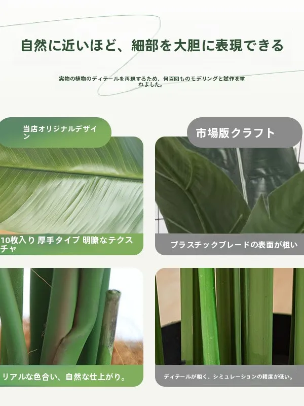 hayインテリアとは？リアルタッチのバナナリーフがもたらす、心に届く暮らしの変化とは