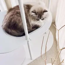 キャットタワー ベッド一体型 カプセル型 サイザル麻 シンプル おしゃれ ホワイト 猫用 「limolimo」