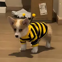 春秋用 犬服【ミツバチデザイン・コーギー・トイプードル・小型犬対応・暖かい】
