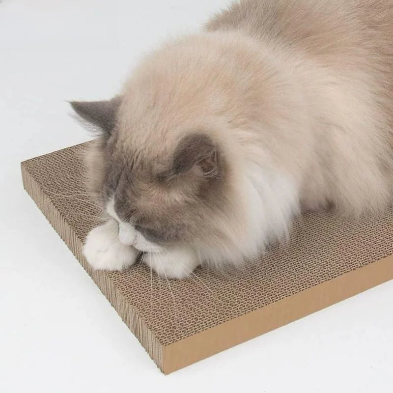 160ダンボールとA3サイズの違いは？猫の磨爪を支える大サイズ替えダンボールの選び方