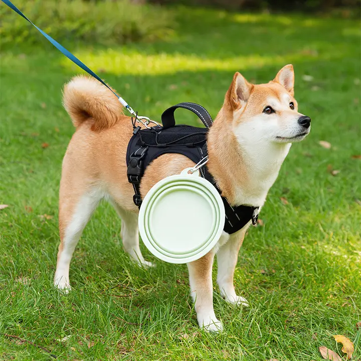 折りたたみ式ペット用水入れと食器セット【携帯便利・犬猫兼用・アウトドア用】