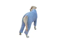 冬用 大型犬用 コットン生地 厚手ハイネックコート【お腹と膝の保護付き・チェック柄】