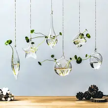 壁掛け透明水培ガラス花瓶【現代的・観葉植物用・小型】