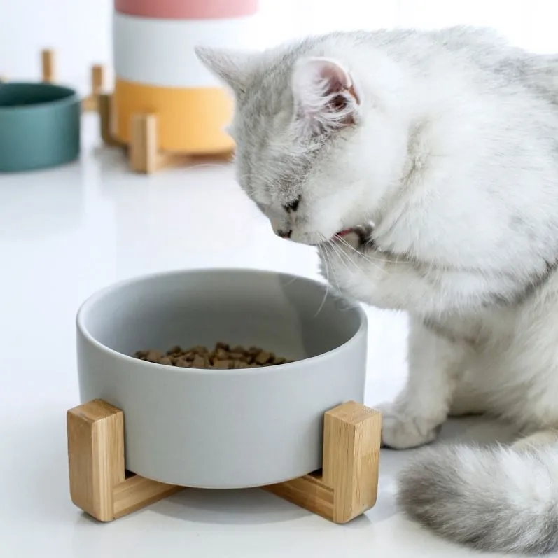 猫飼いが買ってよかったもの・悪かったもの正直に言う：猫用陶器製フードボウルの特徴