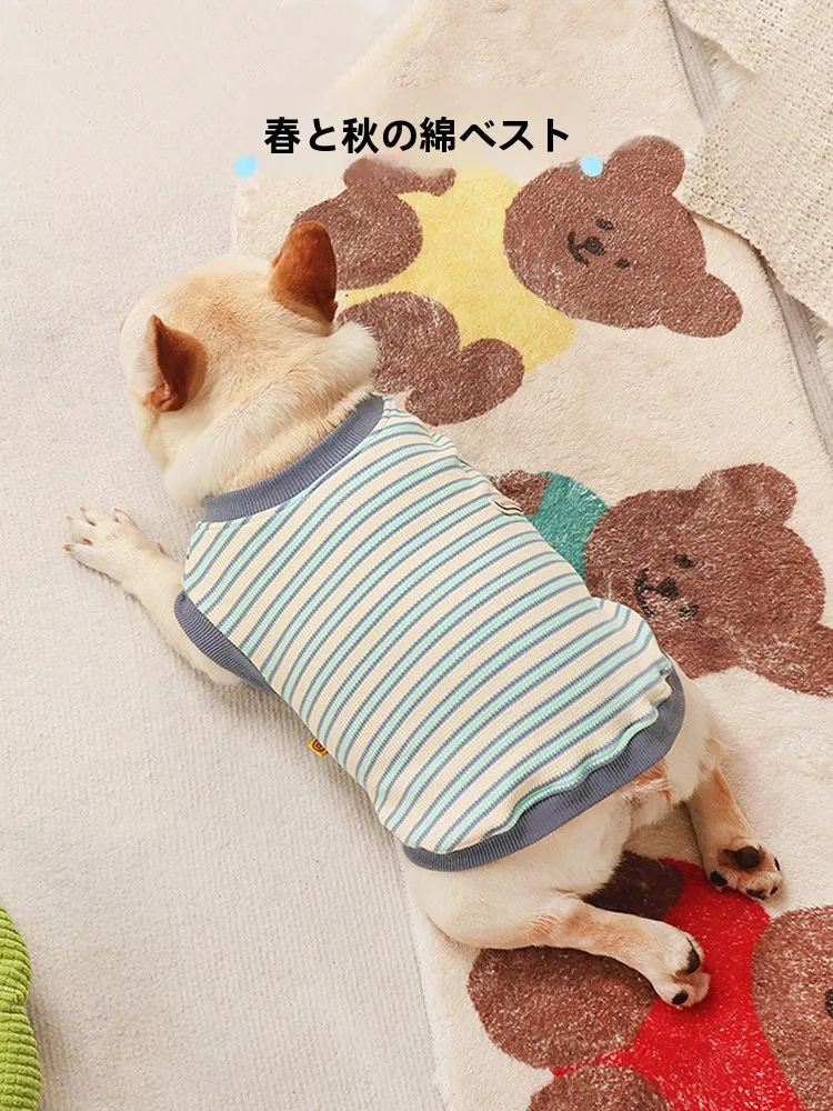 猫飼いが買ってよかったもの・悪かったもの正直に言う｜春秋のトレーナー選びの徹底解説