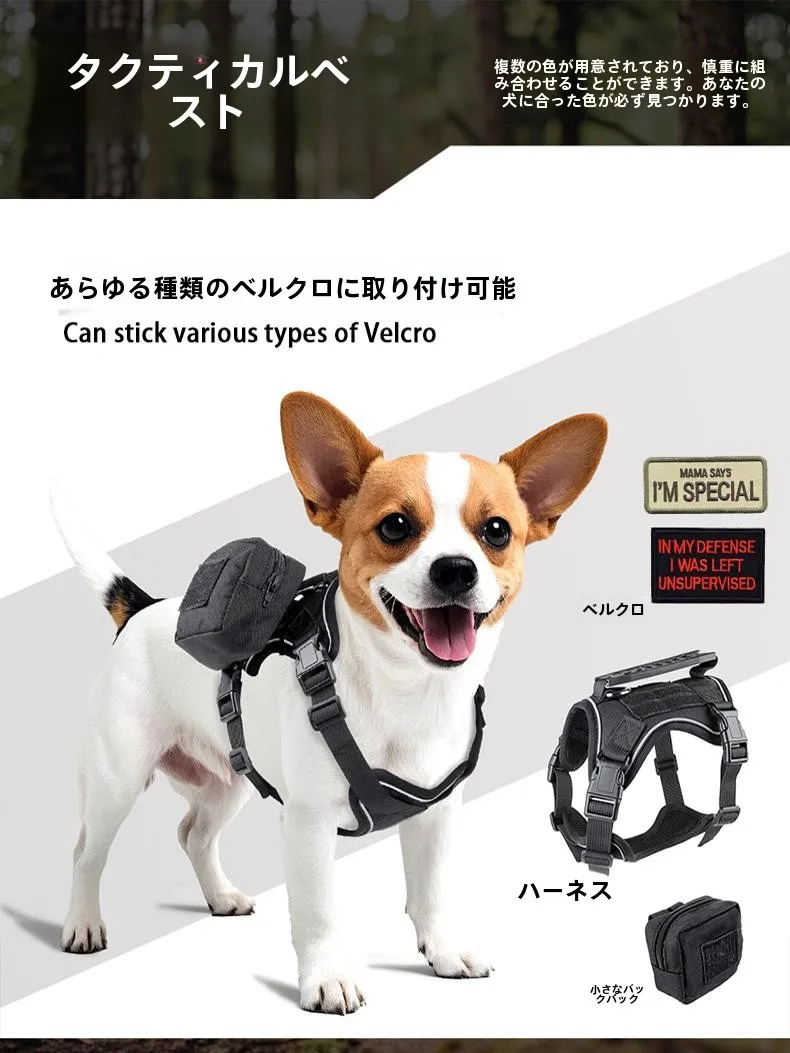 犬のお散歩グッズをコスパ良く揃える方法　完全ガイド