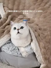 ペット用毛布【冬用・猫・犬兼用・暖かい寝具】