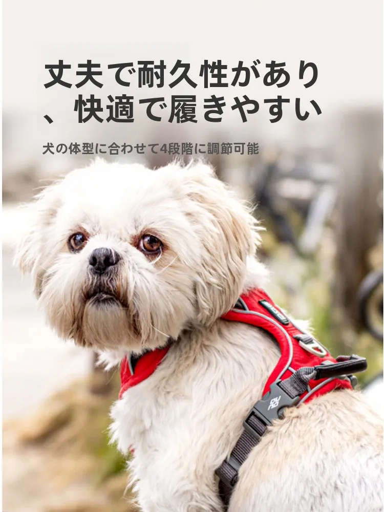 犬のお散歩グッズをコスパ良く揃える方法　防爆機能ハーネスの徹底解説