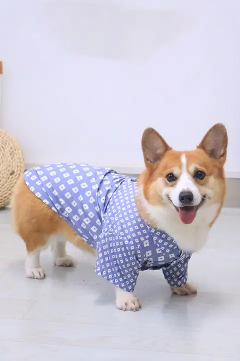 春夏用ペット犬服【コーギー・テディベア・小型犬向け・かわいいデザイン】