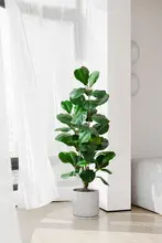 大型 カシワバゴムノキ フェイクグリーン 人工観葉植物 リビング用 装飾盆 鉢植え