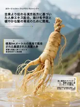 男性用防脱毛シャンプー【側柏葉エキス・人参生姜配合・油分コントロール】