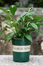 園芸用樹脂製ガーデンポット【多肉植物・家庭菜園・観葉植物用】