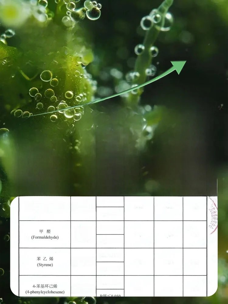 高級感あふれるクリーム風カーペット：防水・防汚機能とリビング・寝室での実用性