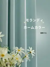 カーテン 寝室/子供部屋/リビング フック式 完全遮光 音遮断 ins風