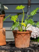 レトロ風 赤陶器花瓶【通気性・吸水性・インテリア装飾用】