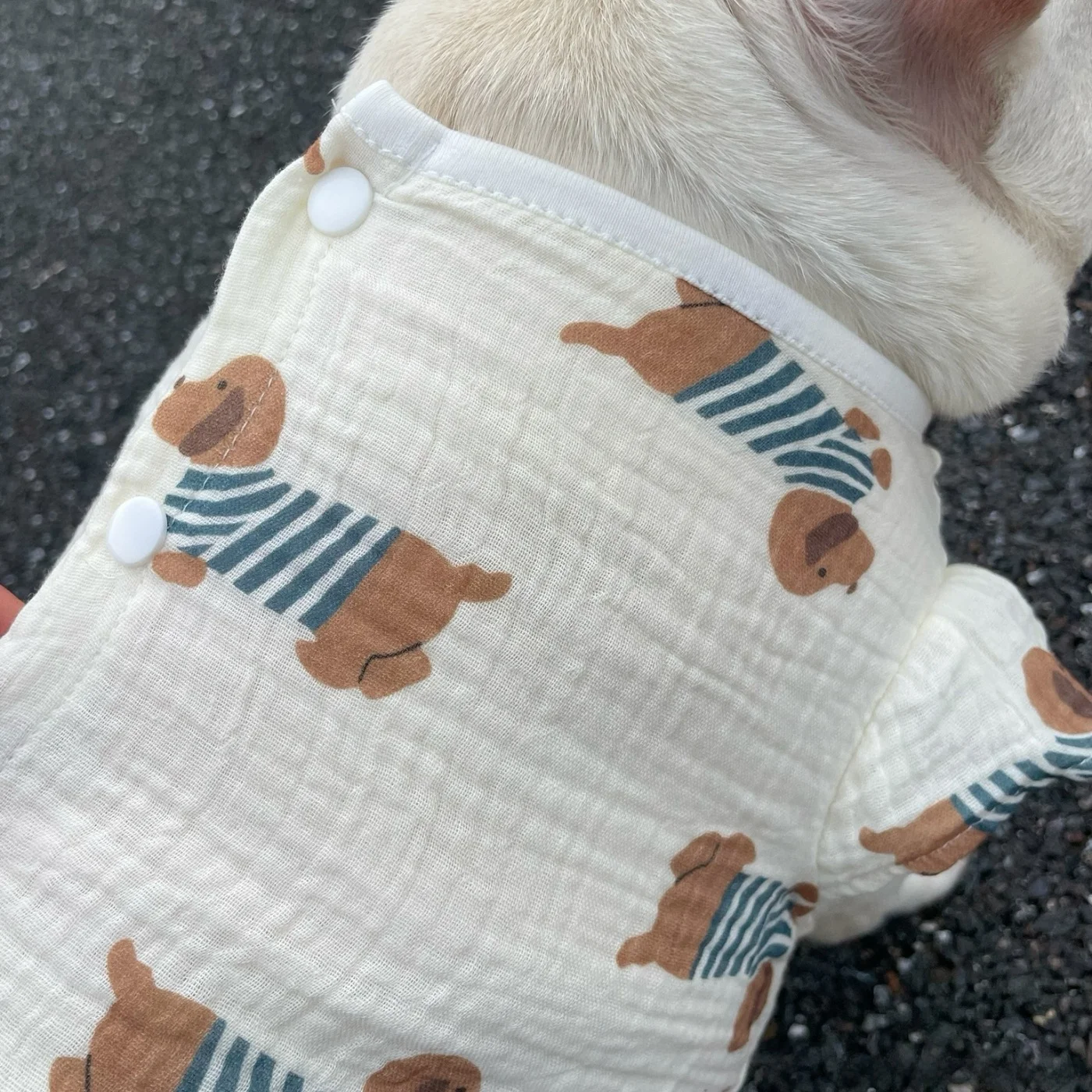 子供と暮らすとき、ペットの服はどんなものにしよう？