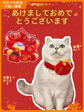 カラフルなボール付きペット用首輪【毛羽立ちのあるカートゥーンデザイン・犬猫用・新年・春節向け】